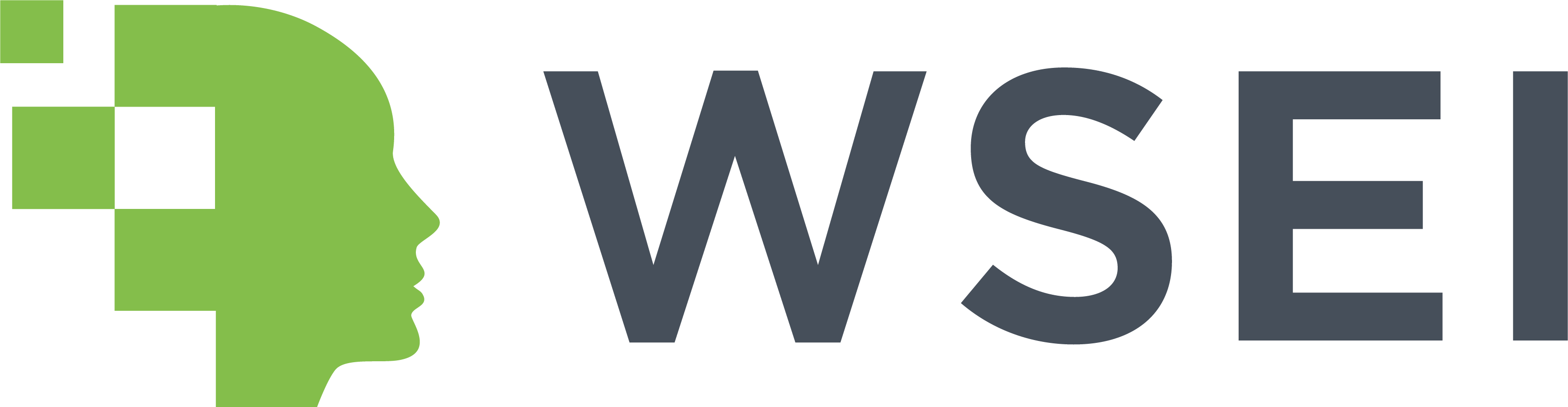 WSEI logo